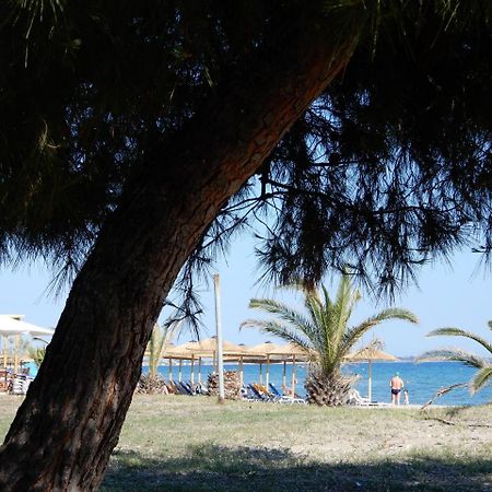 Sunshine Apartment Paralia Dionisiou Zewnętrze zdjęcie