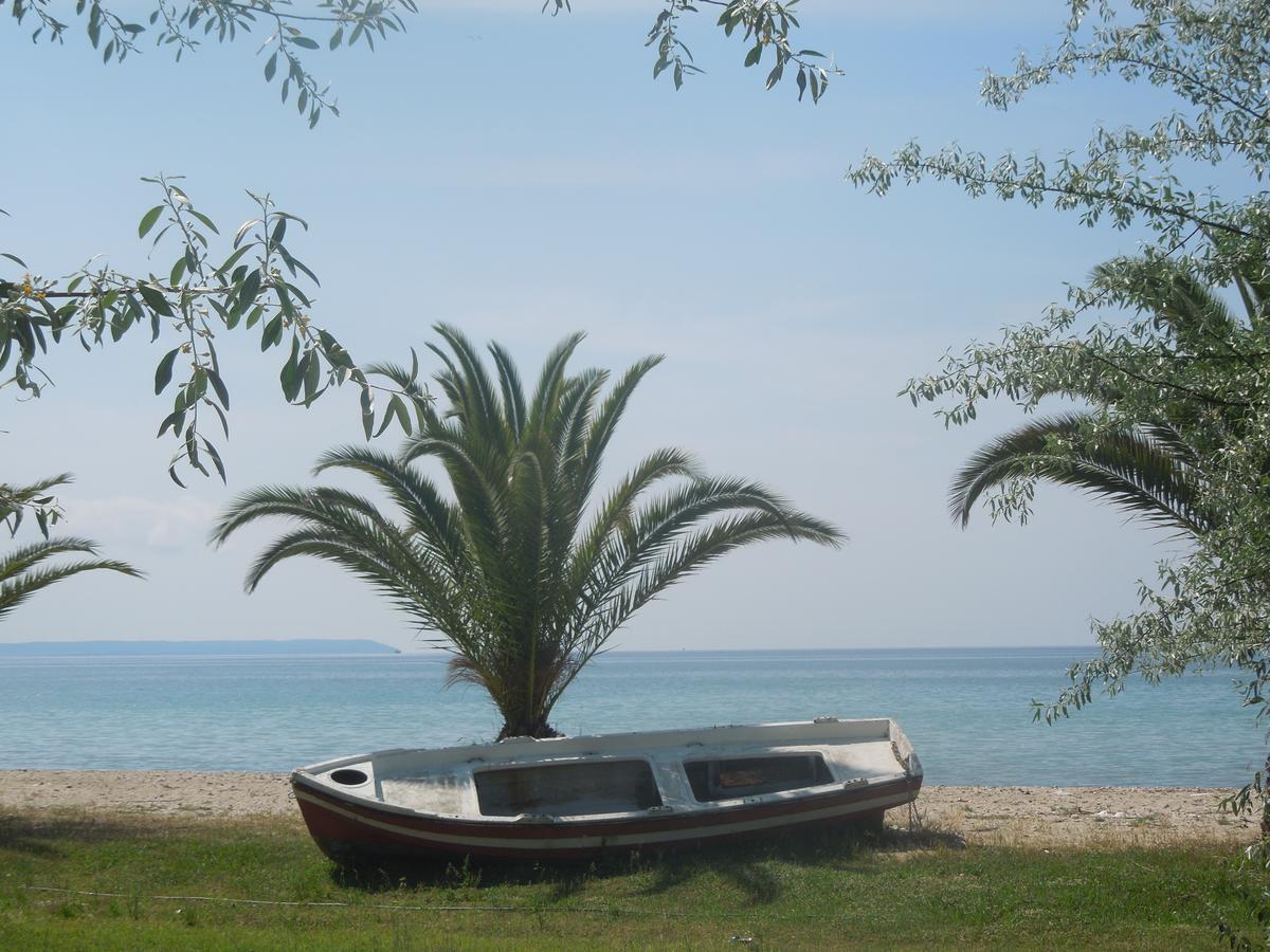 Sunshine Apartment Paralia Dionisiou Zewnętrze zdjęcie