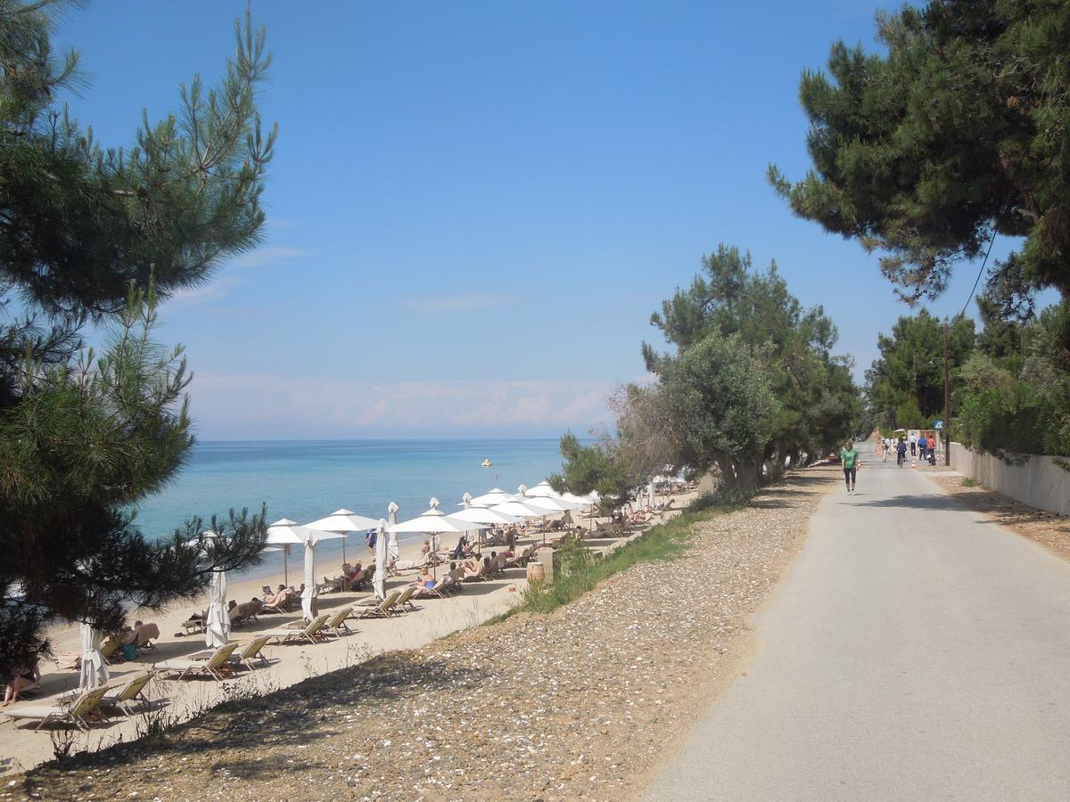 Sunshine Apartment Paralia Dionisiou Zewnętrze zdjęcie
