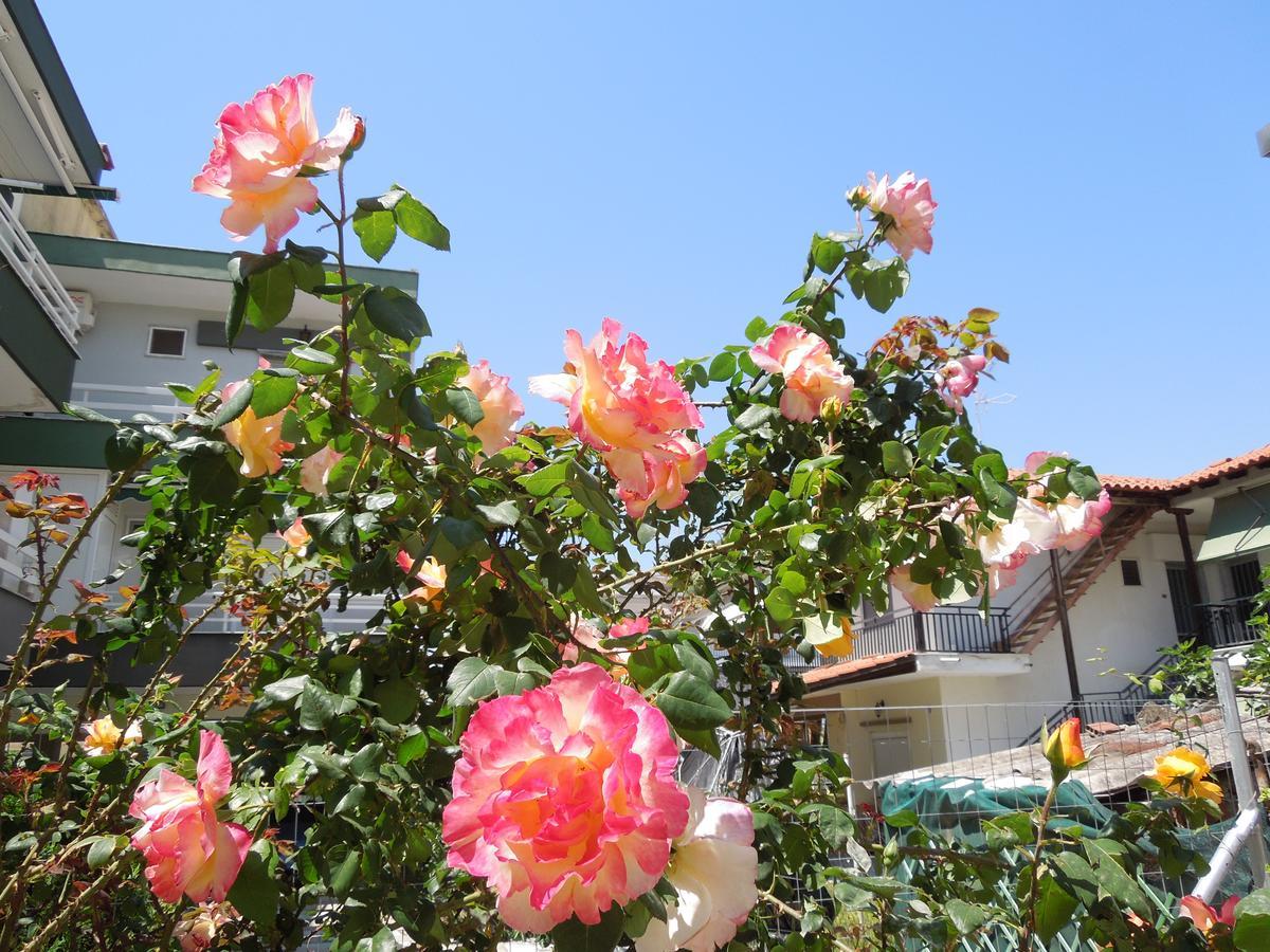 Sunshine Apartment Paralia Dionisiou Zewnętrze zdjęcie