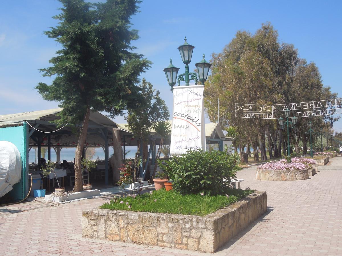 Sunshine Apartment Paralia Dionisiou Zewnętrze zdjęcie