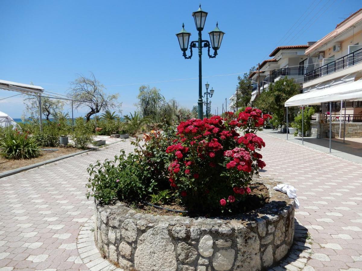Sunshine Apartment Paralia Dionisiou Zewnętrze zdjęcie