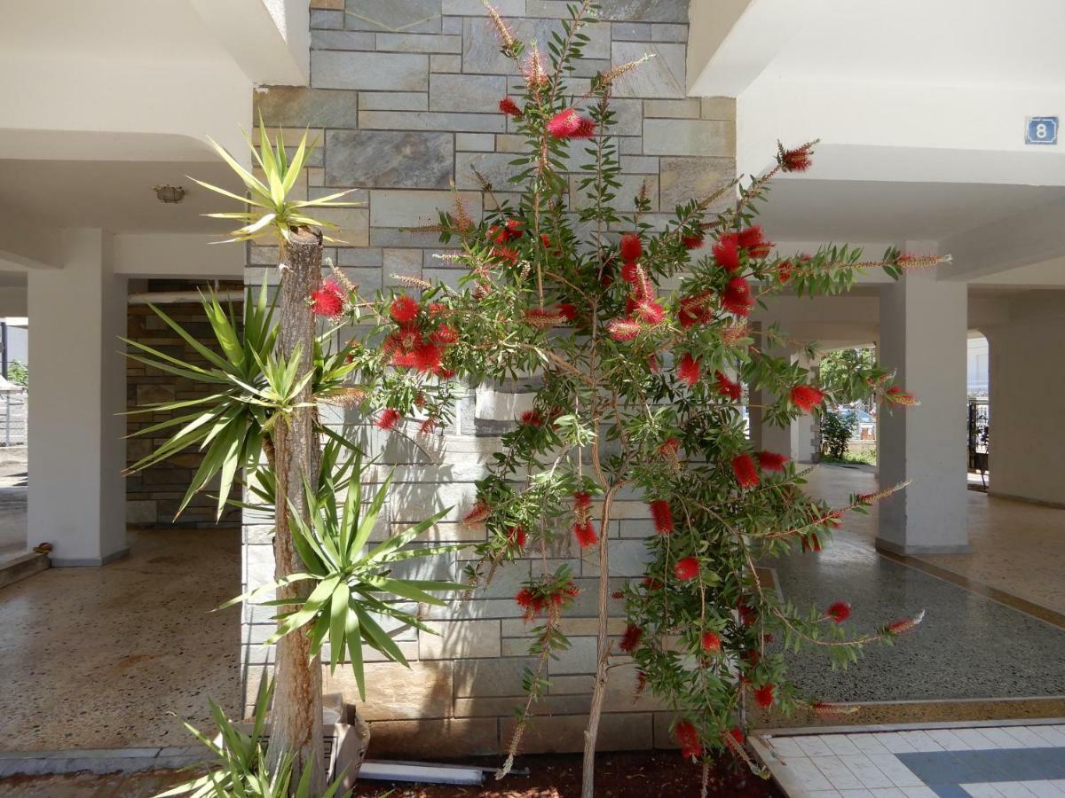Sunshine Apartment Paralia Dionisiou Zewnętrze zdjęcie